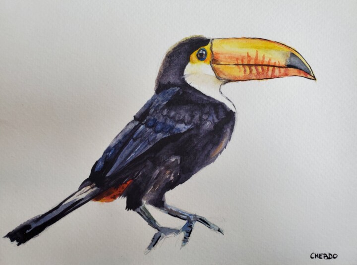 Painting titled "Toucan I" by Lucile Cherdo, Original Artwork, Watercolor