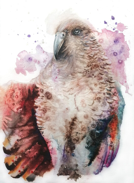 Malerei mit dem Titel "Kea Alpine Parrot" von Ludmila Kolbenova, Original-Kunstwerk, Aquarell