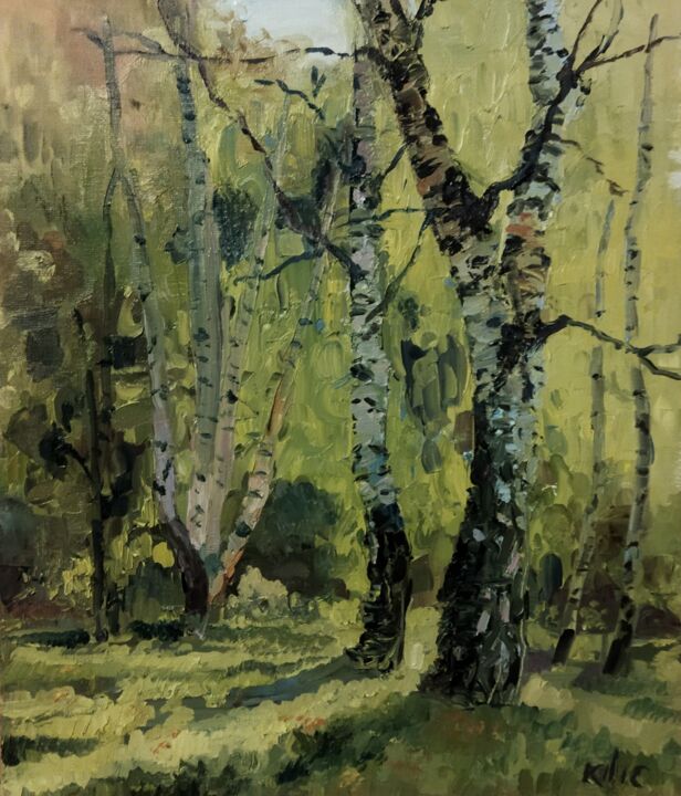 Peinture intitulée "Light between birch…" par Liudmila Kylych, Œuvre d'art originale, Huile