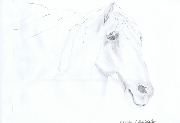 Dessin intitulée "Andalusierhengst" par Luethi Alias Abdelghafar, Œuvre d'art originale, Crayon