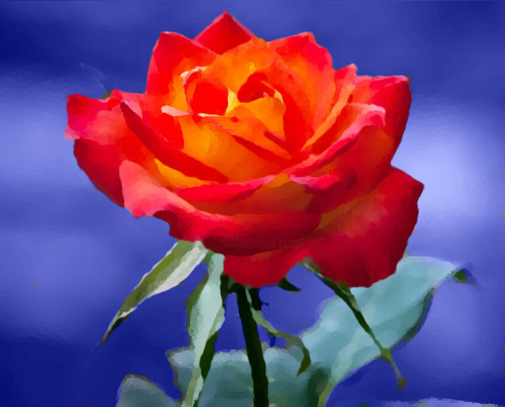 Digital Arts titled "A colourful rose (U…" by Luigi Carlo, Original Artwork, Digital Painting
