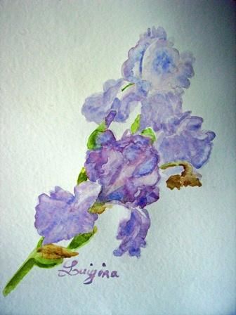 Painting titled "iris bleu" by Luigina, Original Artwork, Oil