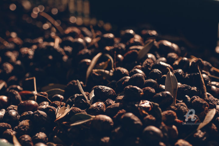 Fotografía titulada "Olives Harvest" por Luigi Veggetti, Obra de arte original, Fotografía digital