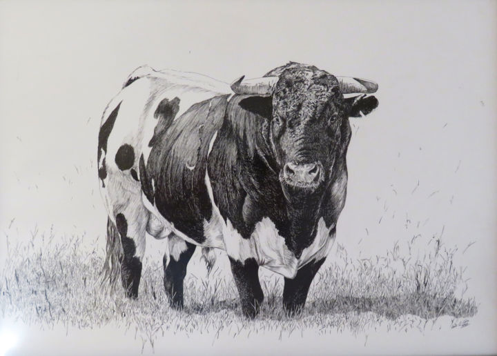 Dibujo titulada "Novillo veregüeño" por Lacasa, Obra de arte original, Tinta