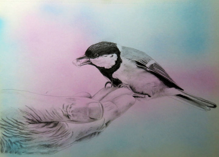 Drawing titled "bird.jpg" by Lacasa, Original Artwork, Pencil