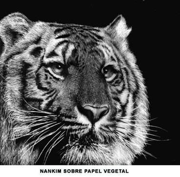 Peinture intitulée "tiger" par Luis Henrique Oliveira, Œuvre d'art originale, Huile