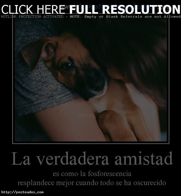 Featured image of post Animadas Imagenes De Amor Y Amistad Con Frases