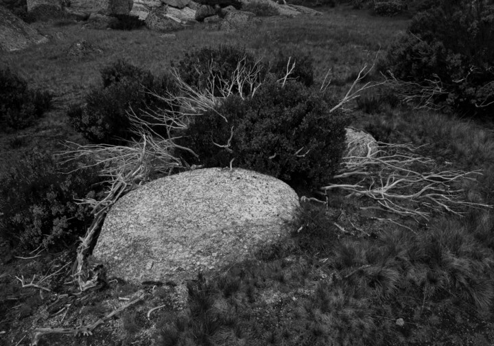 Fotografia intitulada "Nascimento" por Luís Da Cunha Pais, Obras de arte originais, Fotografia digital