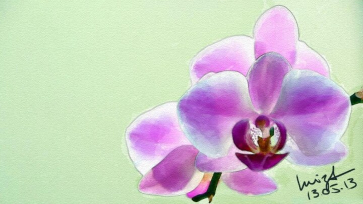 Painting titled "Orchid" by Luiza Estrella, Original Artwork, Other