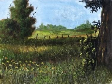 Pintura intitulada "Campo" por Luiz Mauro, Obras de arte originais,