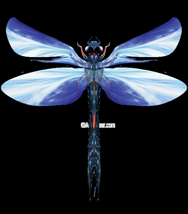 Digital Arts titled "Blue Dragonfly No.1" by Łukasz Pawlicki, Original Artwork, Digital Painting