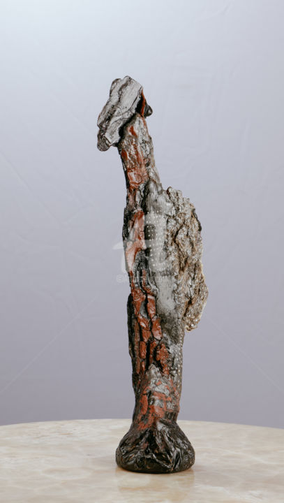 Sculpture titled "METAMORPHOSES" by Hayet Aoudjhane, Original Artwork, Wood