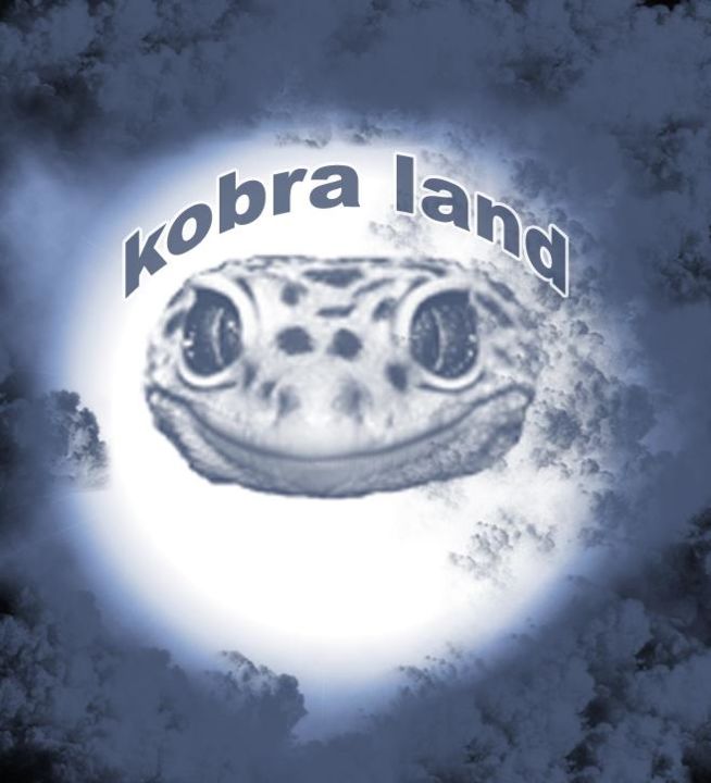 Photographie intitulée "kobra land" par Sow Abdourahamane, Œuvre d'art originale
