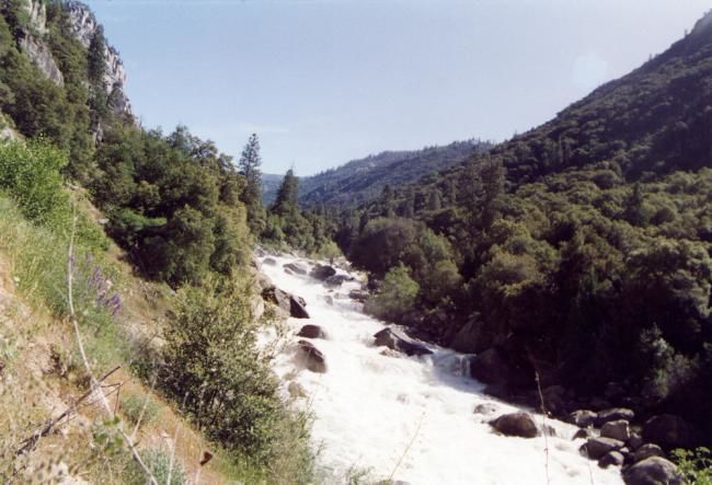 Photography titled "Yosemite park 06" by Andrea Di Luzio, Original Artwork