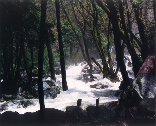 Photography titled "Yosemite park 09" by Andrea Di Luzio, Original Artwork