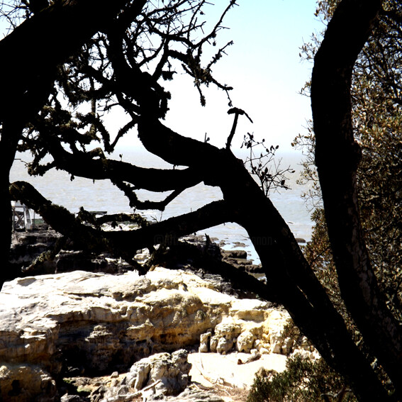 Photographie intitulée "SANS TITRE" par Ly-Rose, Œuvre d'art originale