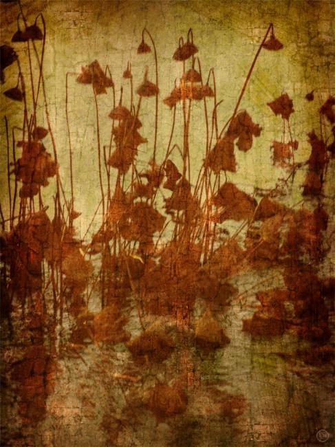 Digital Arts titled "Golden Lotus" by Lydia Marano, Original Art,