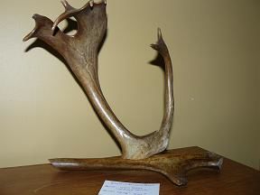 Sculpture titled "Le coq" by Lynda Poirier, Original Artwork