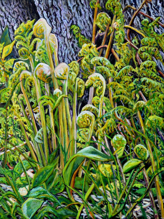 Painting titled "fiddleheads-by-lynd…" by Lynden Cowan, Original Artwork, Oil