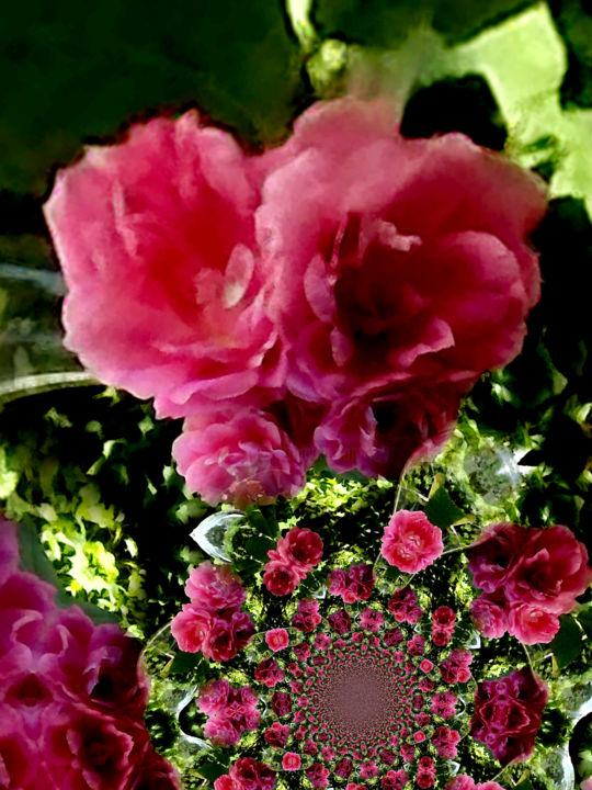 Digital Arts titled "Pink Pivoines (One)" by Lynn De Serres, Original Artwork, Digital Painting