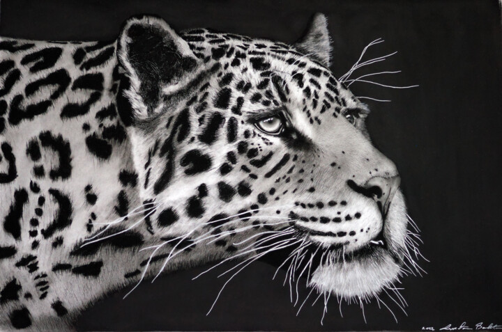 Рисунок под названием "Stalking Jaguar" - Lynton Bolton, Подлинное произведение искусства, Древесный уголь