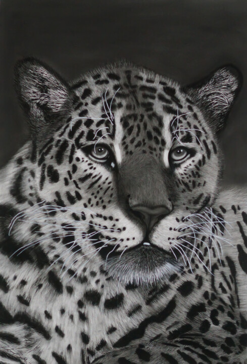 Rysunek zatytułowany „Jaguar Portrait” autorstwa Lynton Bolton, Oryginalna praca, Węgiel drzewny