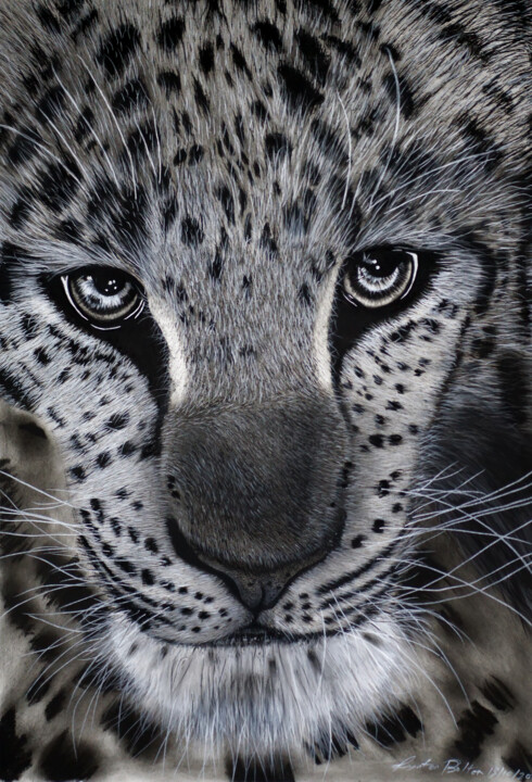 Rysunek zatytułowany „Amur Leopard Profile” autorstwa Lynton Bolton, Oryginalna praca, Węgiel drzewny