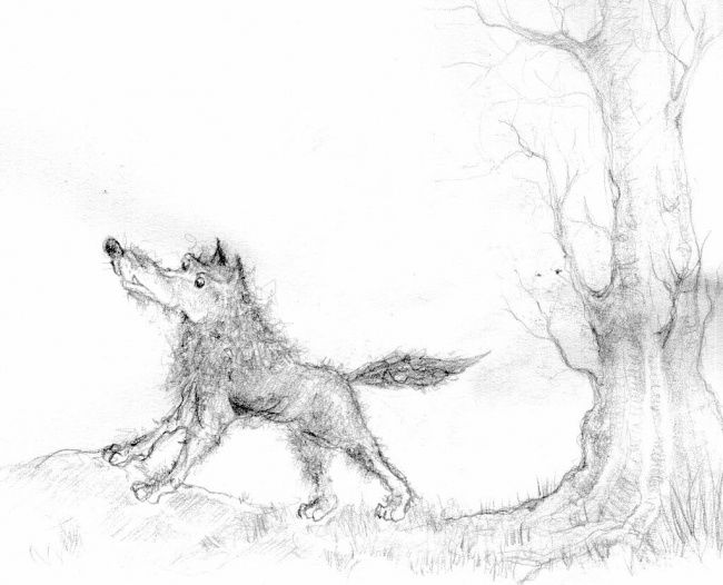 Drawing titled "Loup1" by Dominique Lysiak, Original Artwork