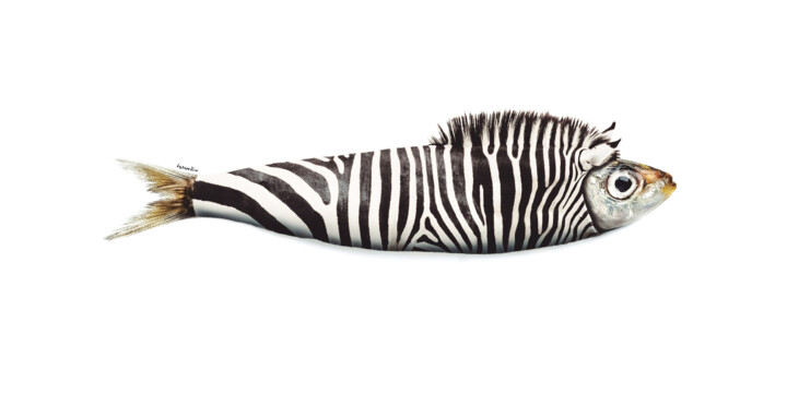 Digital Arts titled "SardiZebra" by Lysiane Dürr, Original Artwork, Digital Painting