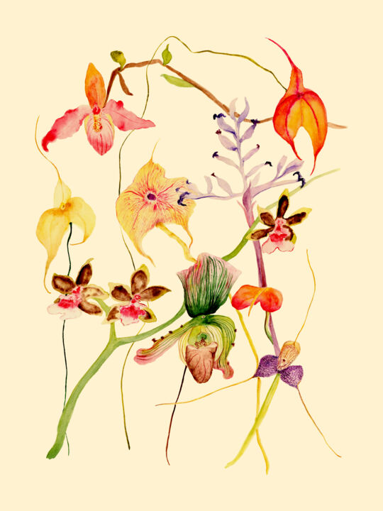 Painting titled "Orchids" by Lyubov Fonareva, Original Artwork, Watercolor