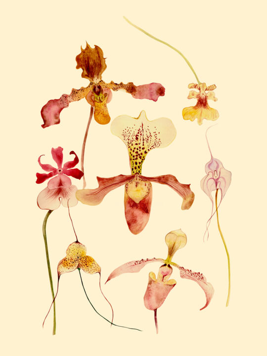 Картина под названием "Decorative orchids" - Lyubov Fonareva, Подлинное произведение искусства, Акварель
