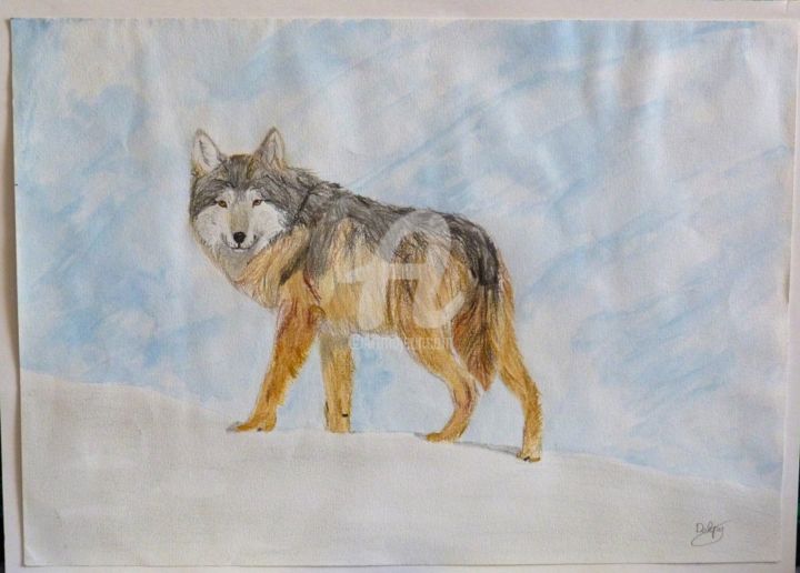 Dessin intitulée "Loup" par Mylène Delpy, Œuvre d'art originale, Crayon