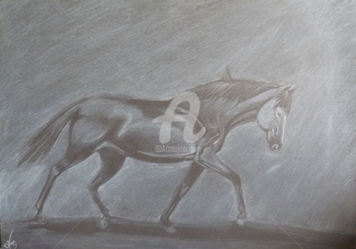 Drawing titled "Cheval noir" by Mylène Delpy, Original Artwork, Pencil