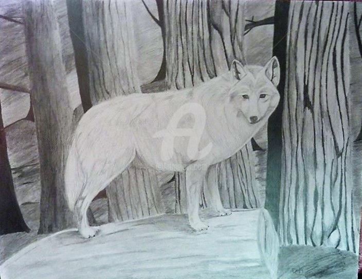 Dessin intitulée "Loup blanc" par Mylène Delpy, Œuvre d'art originale, Crayon