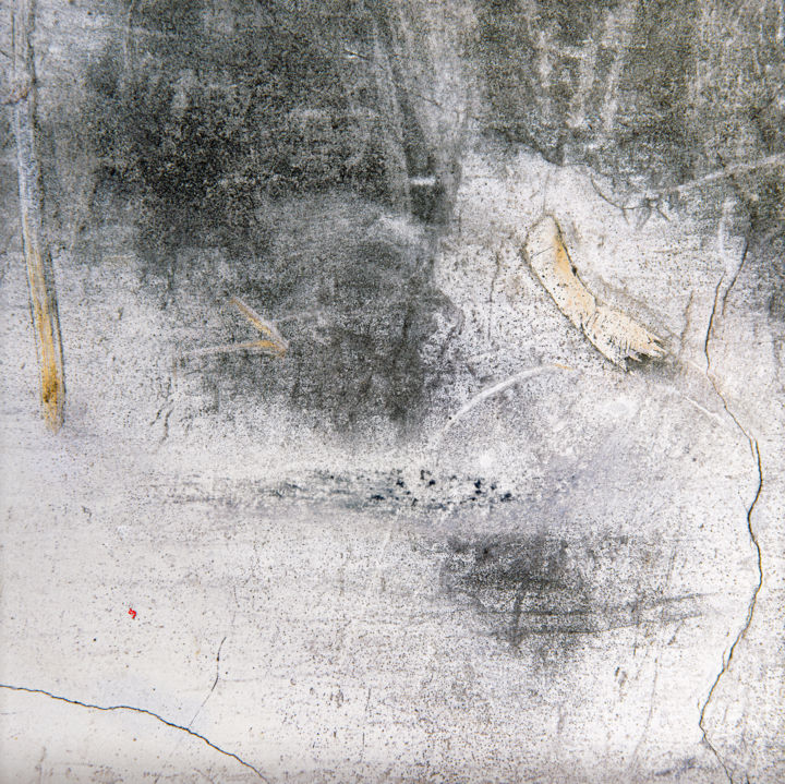 Fotografia intitolato "Maria Elisa Borsoi…" da Maria Elisa Borsoi, Opera d'arte originale,