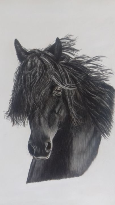 Картина под названием "Belle crinière noire" - Portraits Animaliers, Подлинное произведение искусства, Пастель