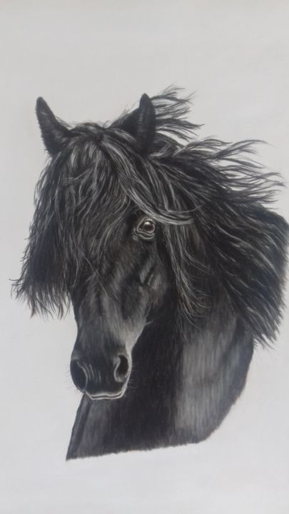 Painting titled "Belle crinière noire" by Portraits Animaliers, Original Artwork, Pastel