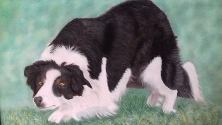 Картина под названием "Border Collie" - Portraits Animaliers, Подлинное произведение искусства, Пастель