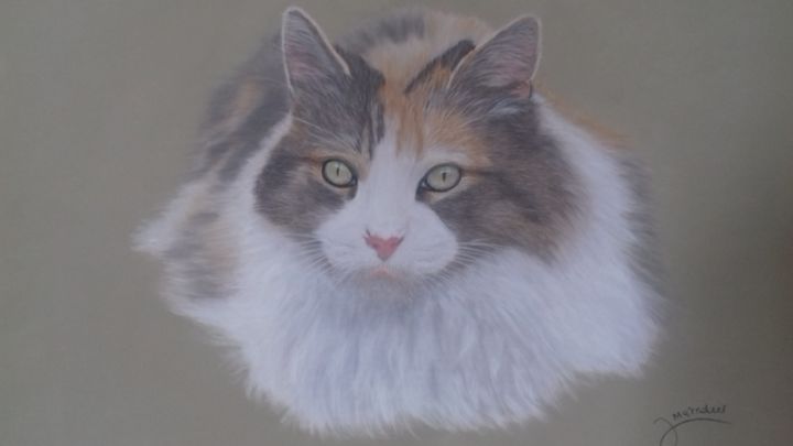 Картина под названием "jolie chatte isabel…" - Portraits Animaliers, Подлинное произведение искусства, Пастель