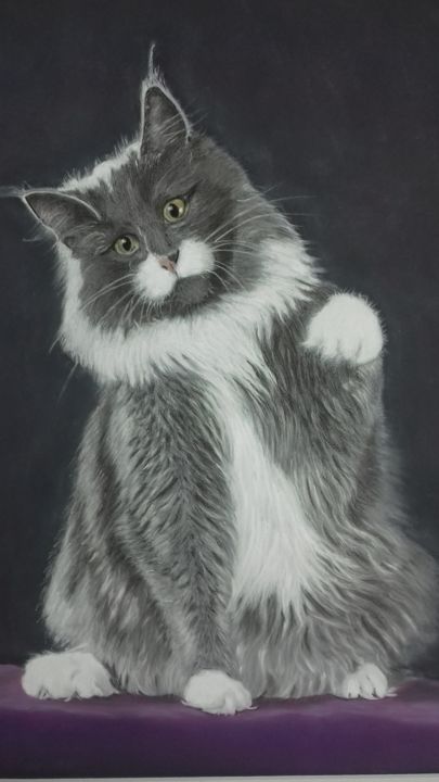 Pittura intitolato "magnifique chat mai…" da Portraits Animaliers, Opera d'arte originale, Pastello