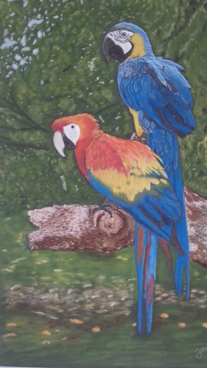 Painting titled "deux aras" by Portraits Animaliers, Original Artwork, Pastel