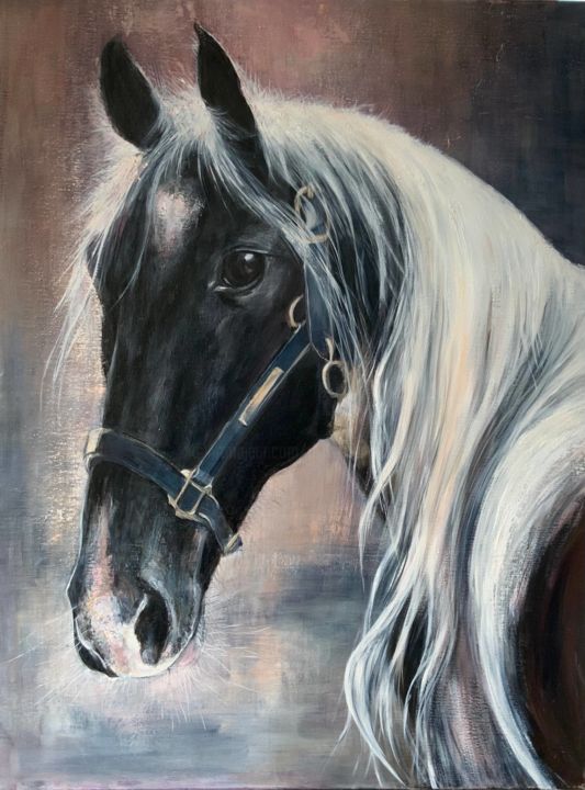 Schilderij getiteld "Horse" door Magdalena Weber, Origineel Kunstwerk, Olie