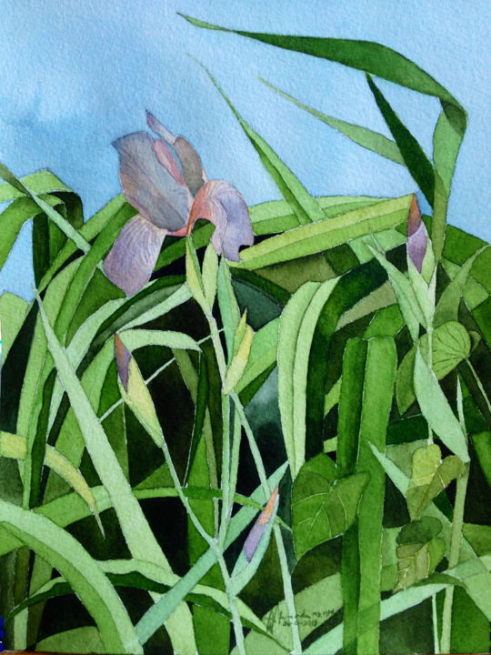 Pintura intitulada "Irises at Fenway Ga…" por Ma Bella Ponferrada, Obras de arte originais, Óleo