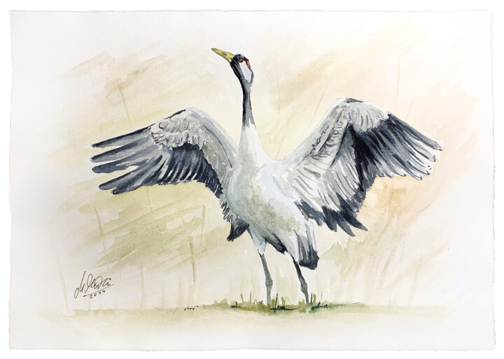 Painting titled "Polish birds - Grus…" by Maciej Kłosowski, Original Artwork, Watercolor