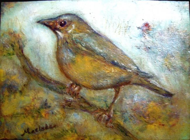 Painting titled "L'oiseau sur la bra…" by Maclade, Original Artwork, Oil