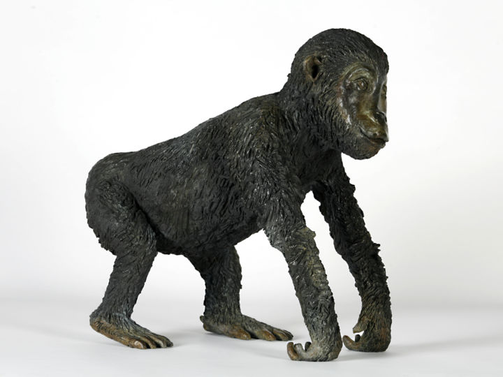 Sculptuur getiteld "Bébé Gorille" door Madeleine Van Der Knoop, Origineel Kunstwerk, Bronzen