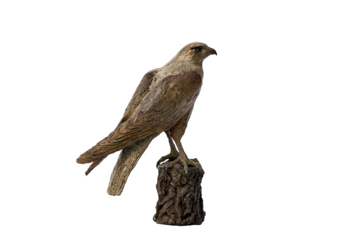 Skulptur mit dem Titel "Falcon" von Madeleine Van Der Knoop, Original-Kunstwerk, Metalle