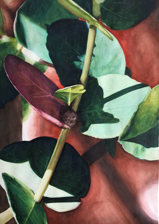 Painting titled "Eucalyptus Gunni" by Madeline Berger (MadB), Original Artwork, Watercolor