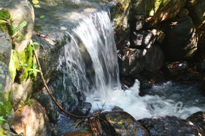 Фотография под названием "Secret Waterfall –…" - Mariska Ma Veepilaikaliyamma, Подлинное произведение искусства