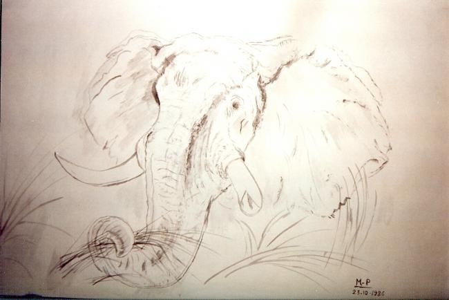 Peinture intitulée "le fier éléphant" par Maeri, Œuvre d'art originale